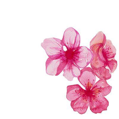 Dreamscape's Lush Floral Tapestry